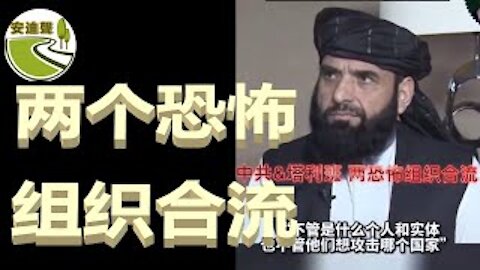 南非崩溃.华人遭灾.血旗忽悠.恐怖合流【0715第753期】