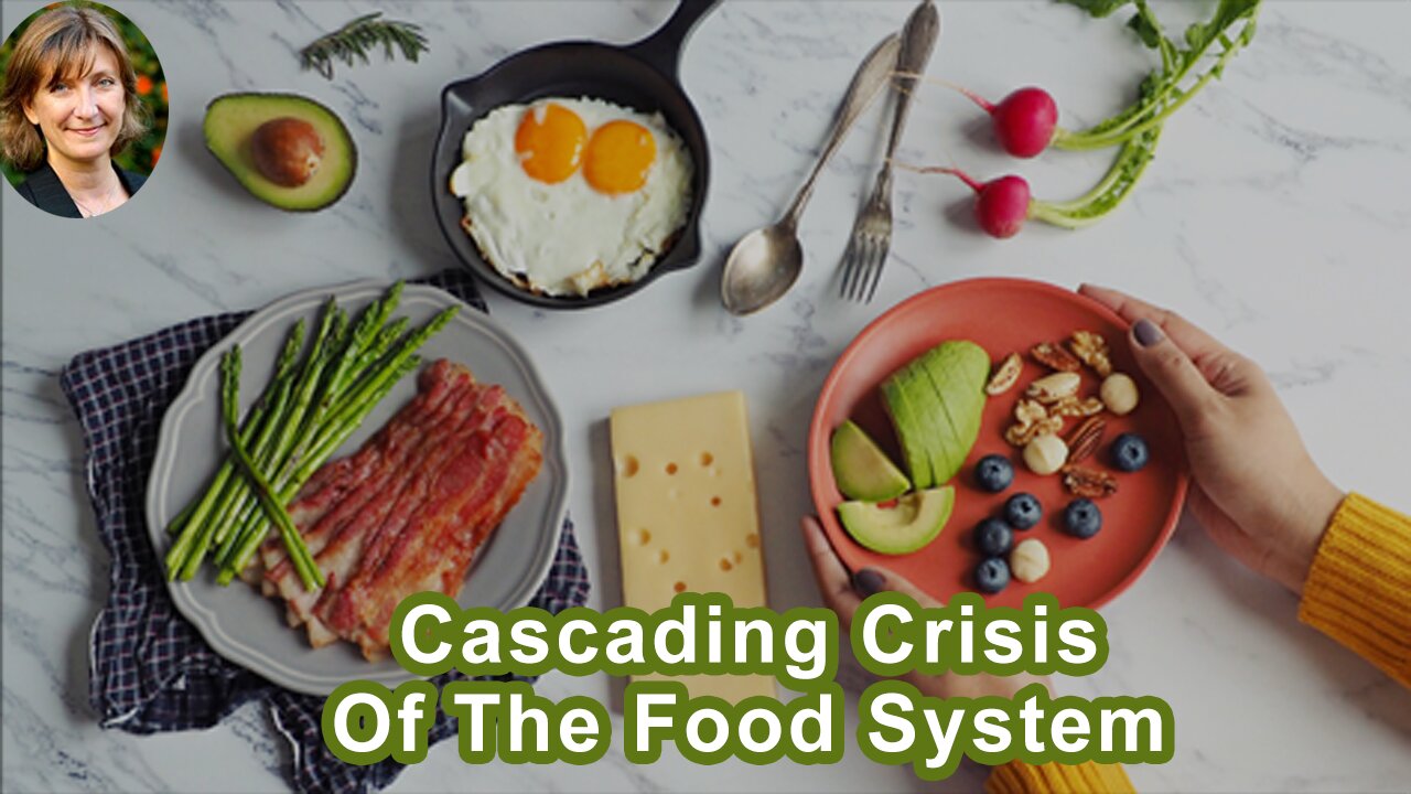 The Cascading Crisis Of The Food System