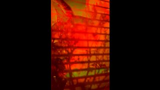 Is She’s Even There ? ￼ I don’t see her…