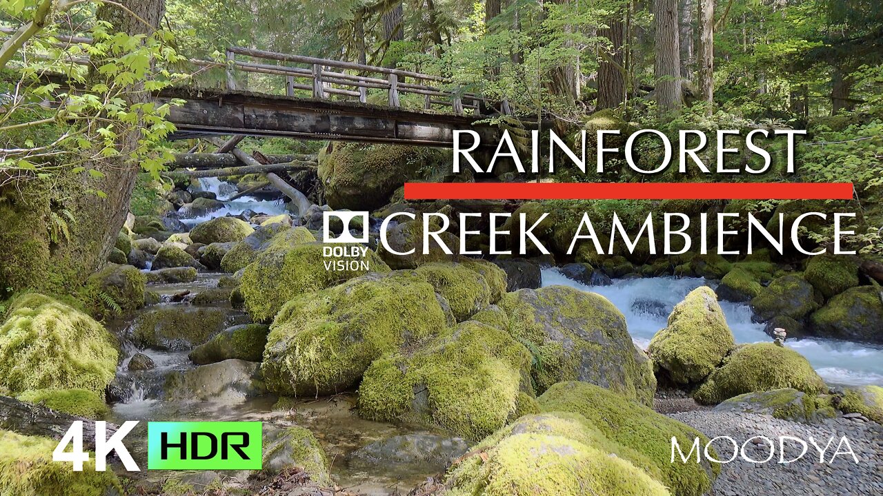 Nature Video For Writer's Block - Rainforest Creek in HDR - Nature's Relaxing Music