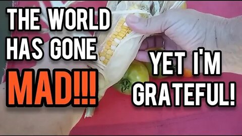 The World has Gone MAD! Yet I'm Grateful! - Ann's Tiny Life and Homestead