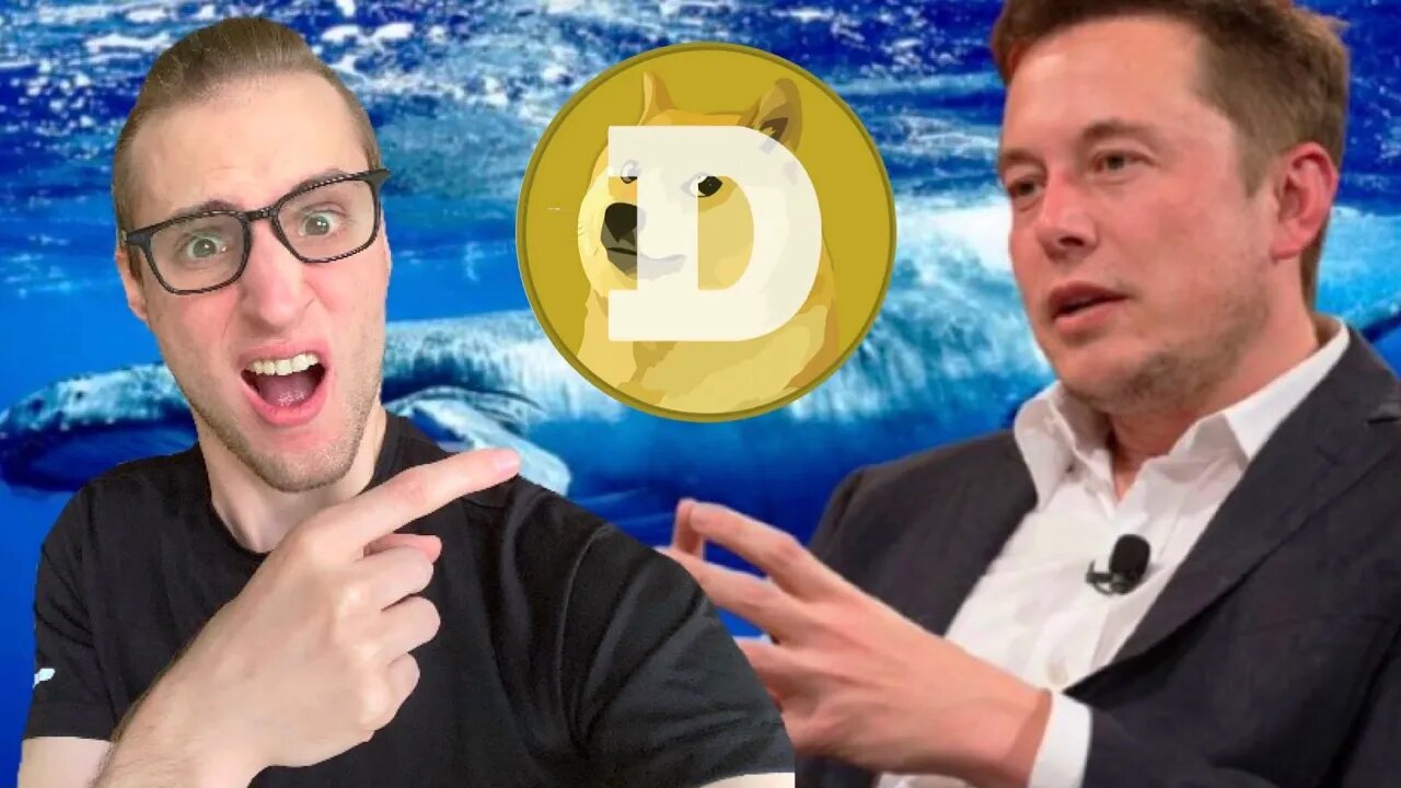 DogeCoin Whales REFUSING TO SELL For Elon Musk