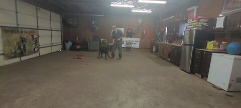 day 1 with the e collar