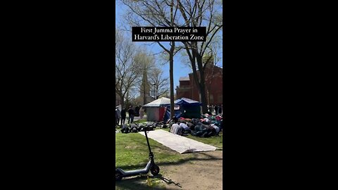 Is this the Middle East? Nope. Just a bunch of Harvard students.