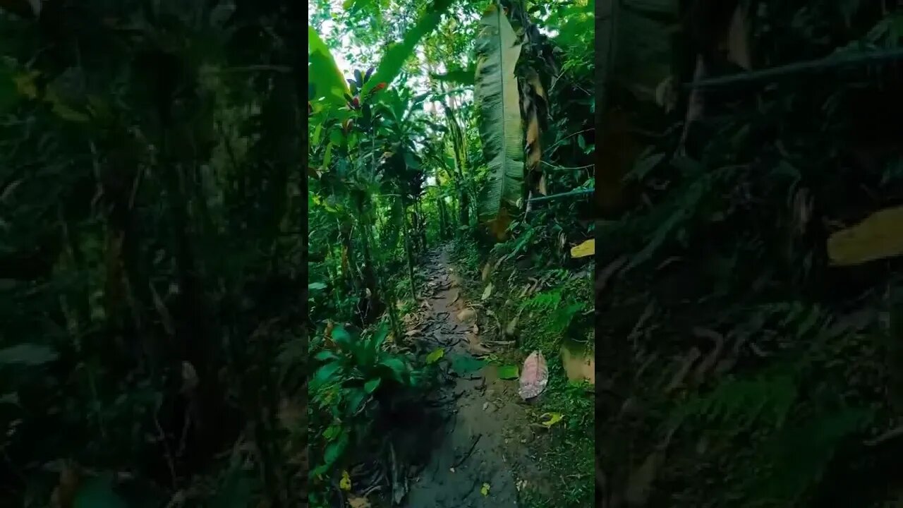 nature#adventure#mountains#shorts