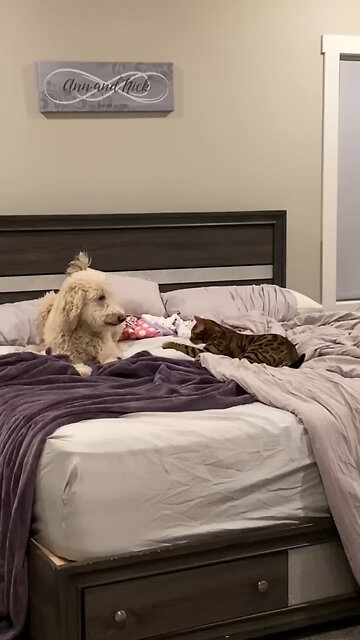 NOTHING BETTER THAN THE SOUND OF CHILDREN LAUGHING