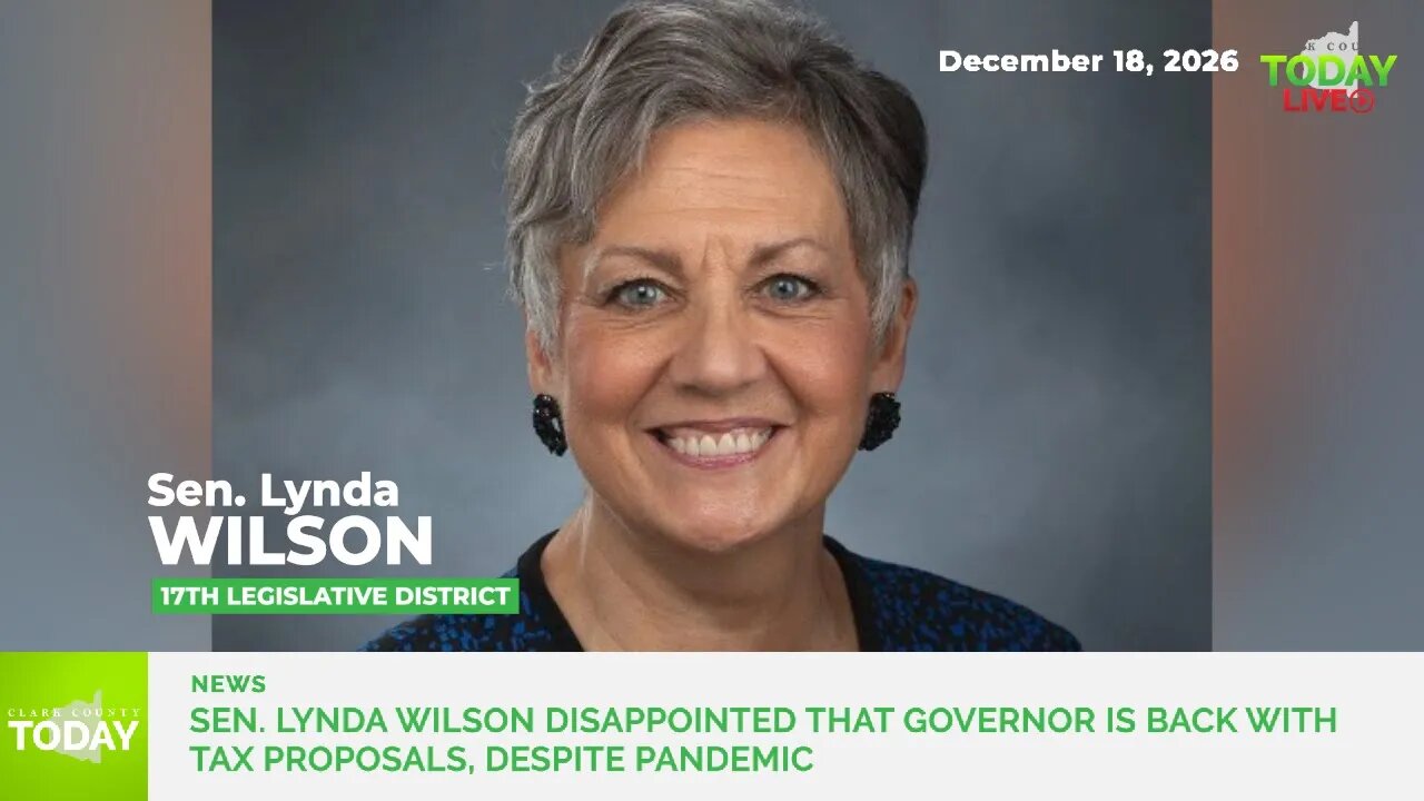 Sen. Lynda Wilson disappointed that governor is back with tax proposals, despite pandemic