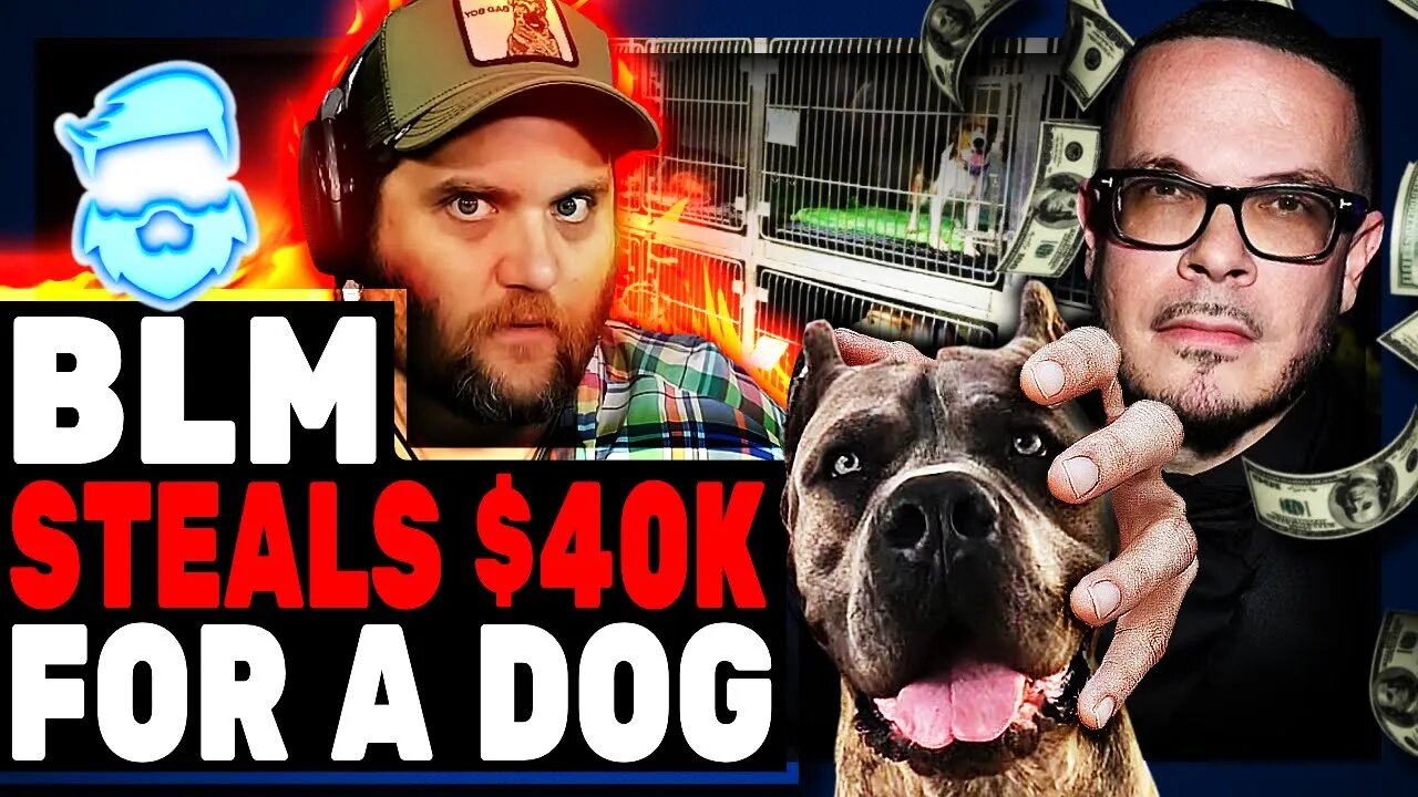 BLM Grifter BUSTED Spending $40K On A "Guard Dog" Only To Give The Dog Up Days Later