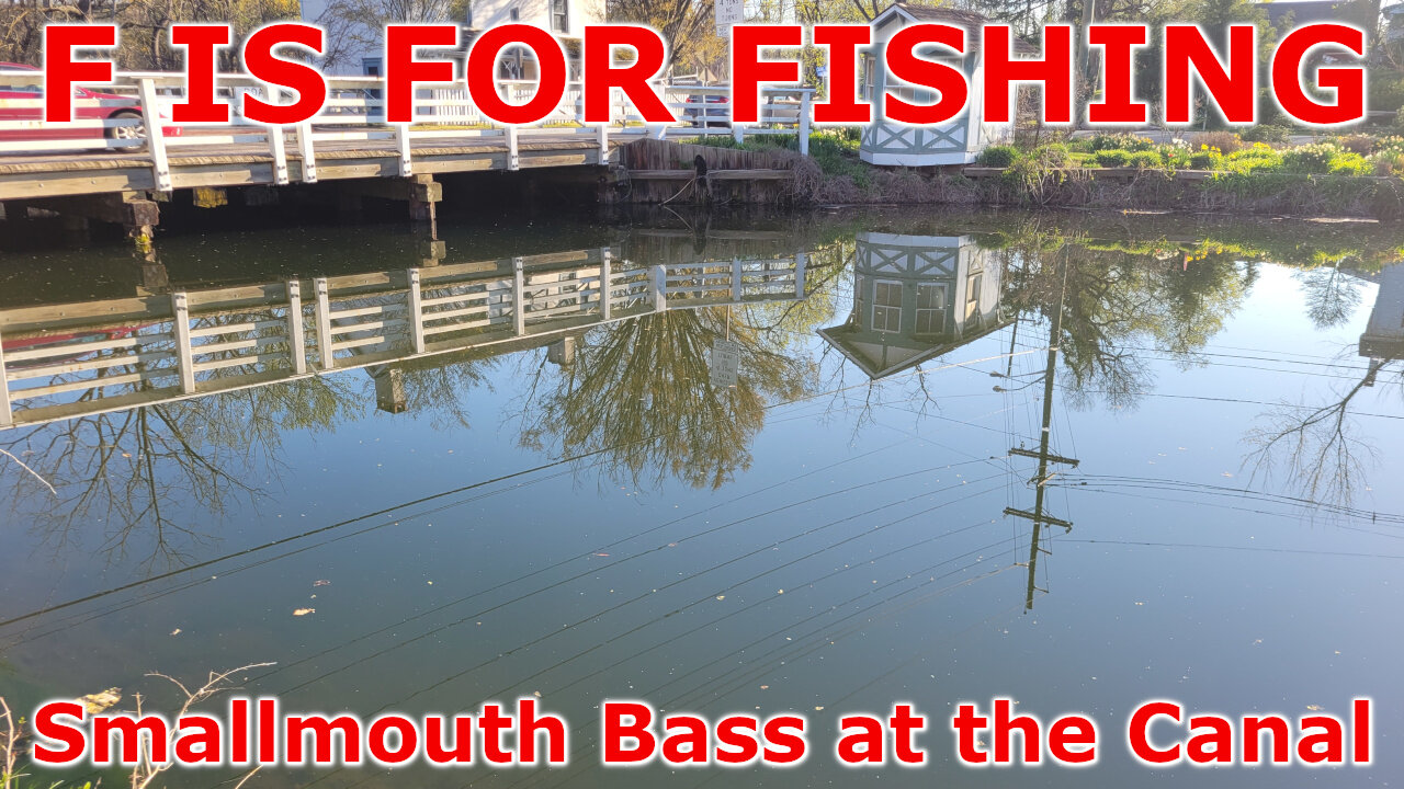 Smallmouth Bass at the Canal