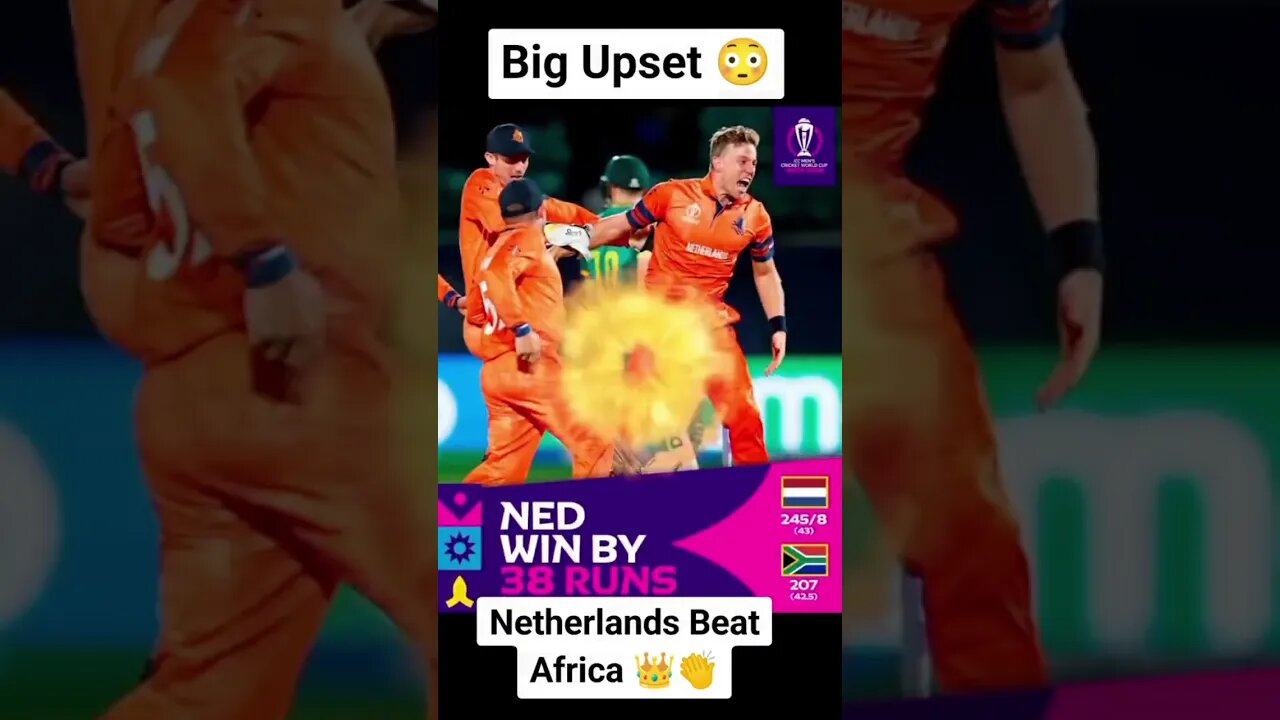 Big Upset Netherlands beat Africa #cricket southafricacricket #indianbatsman #cricketlovers #cri