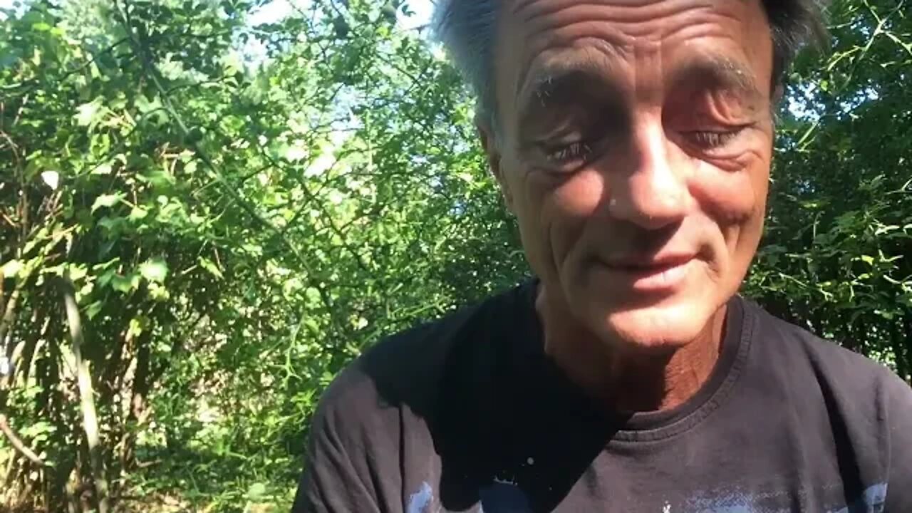 "Das weiche Gedächtnis und die harte WAHRHEIT" (ungeordnete Gedanken)
