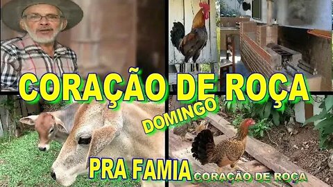 CORAÇÃO DE ROÇA DOMINGO PRA FAMIA