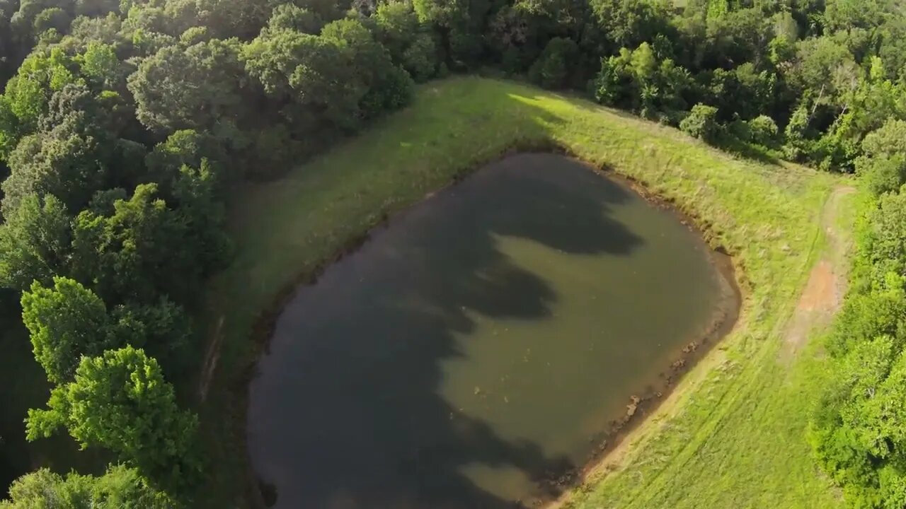 DJI FPV : CircleP Ranch (x339)