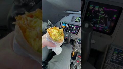 When Your Airplane Tells You To Stop Eating… 🌯