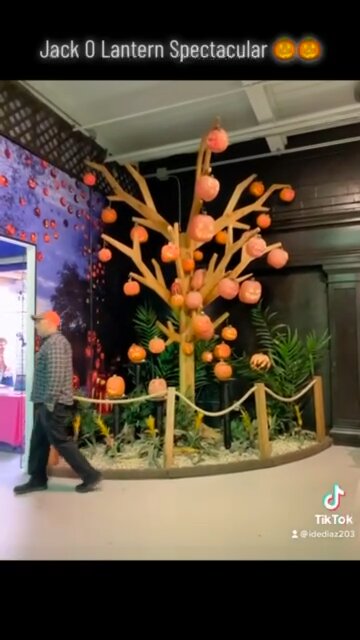 Jack O Lantern Spectacular 🎃