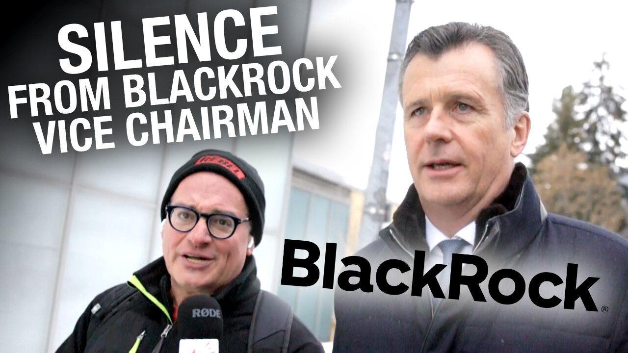 BlackRock vice chairman REFUSES to answer any questions