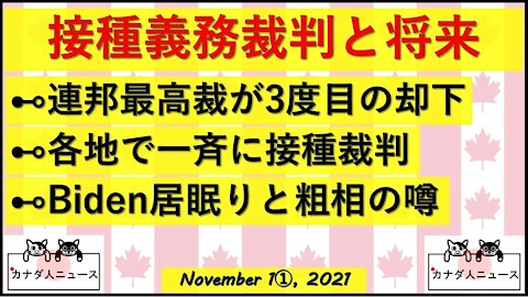 接種裁判と将来/Biden旅行記