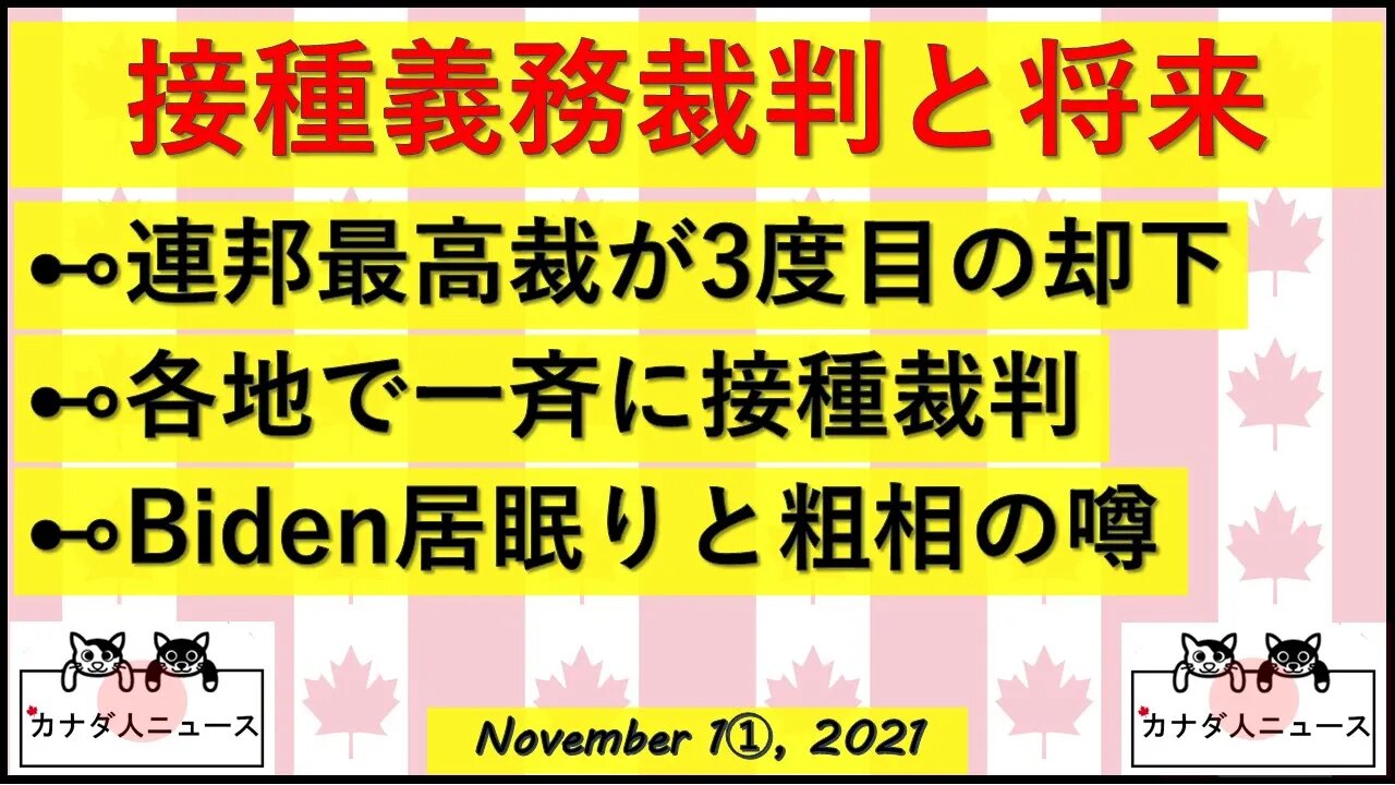 接種裁判と将来/Biden旅行記