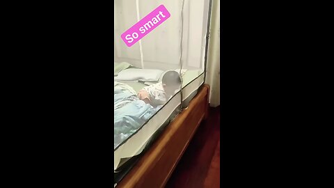 very smart baby video 😎