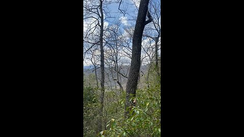 9.6 acres Pack Hill Blowing Rock