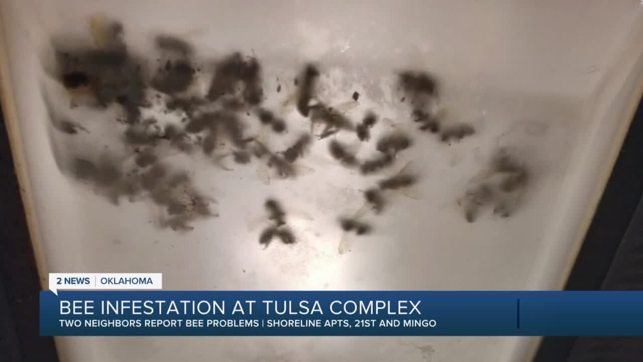 Bee Infestation at Tulsa Complex