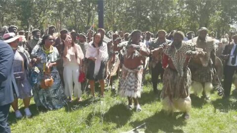 Zulu throne: Celebrations