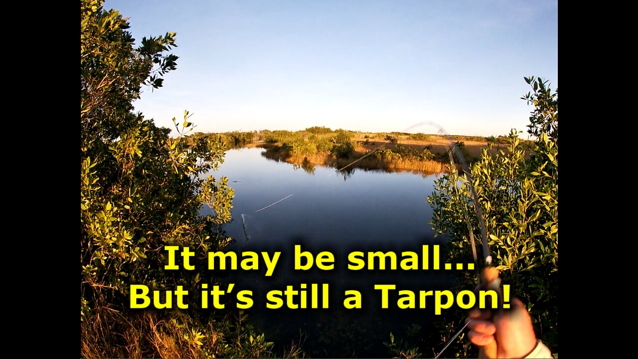 Everglades Fly Fishing ep 2 | Tarpons Night Out