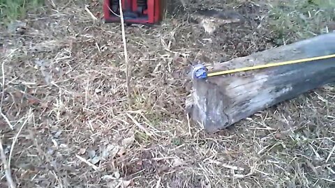 Building High-Tensile Fence requires strong Corner & End Posts - Black Locust post I cut & debarked!