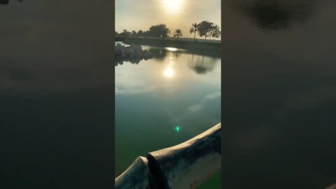#short #subscribe #beautiful #calm