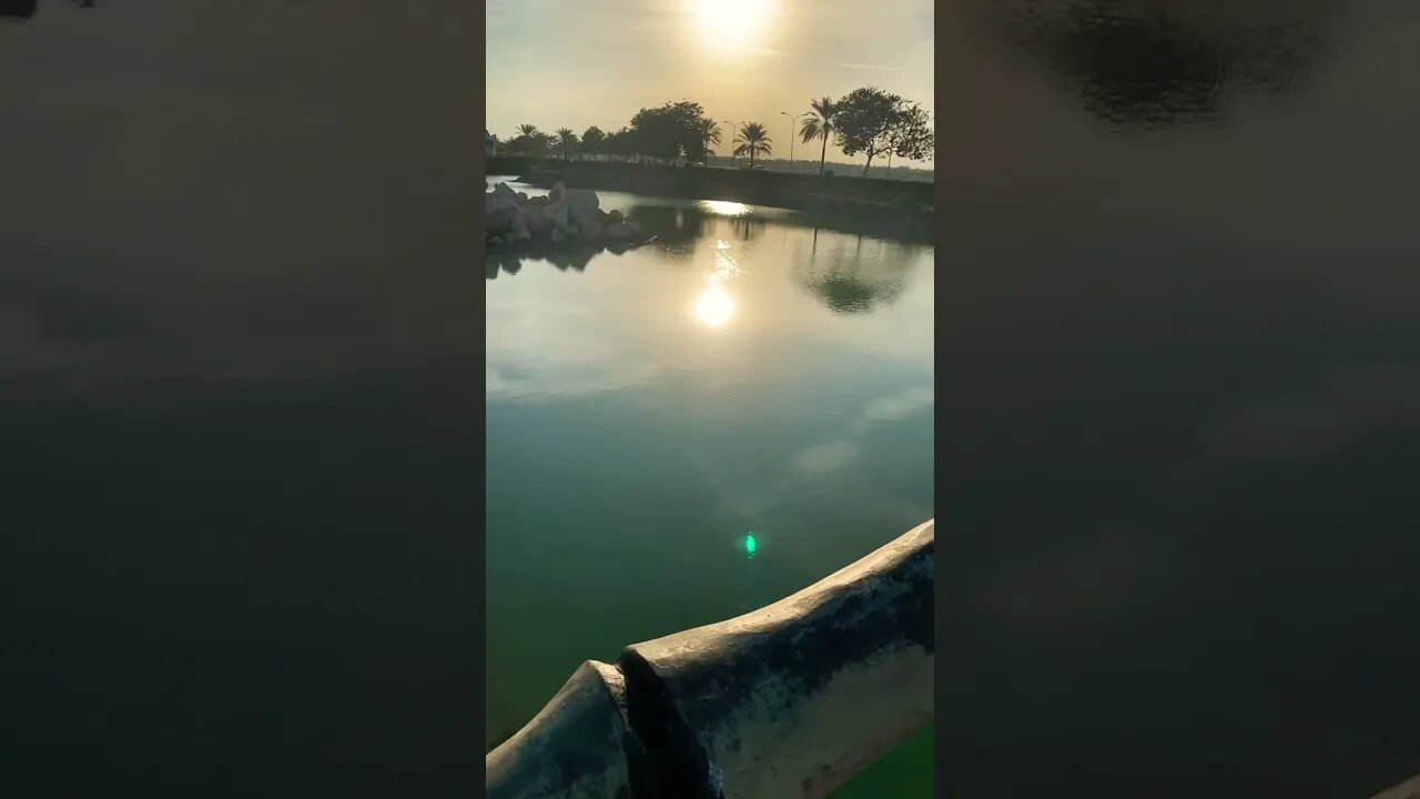 #short #subscribe #beautiful #calm