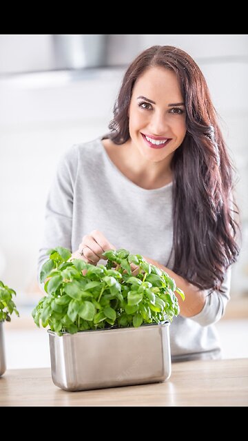 How to Transplant Basil