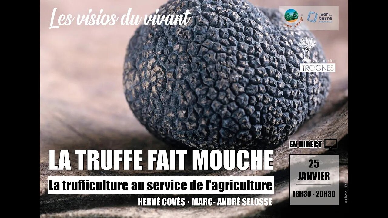 La truffe fait mouche !