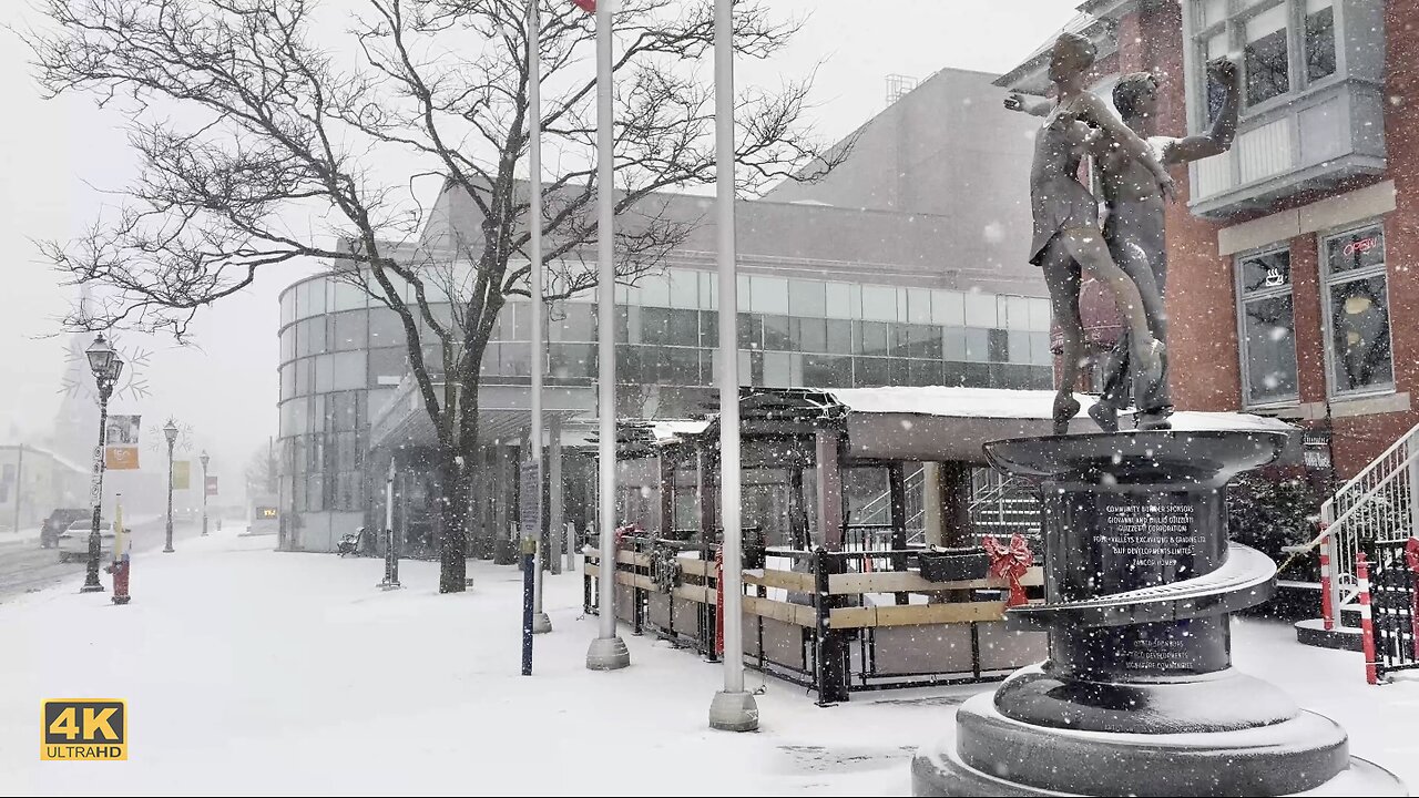 Heavy Snow Storm Hits Toronto Canada 🇨🇦 Winter Snow❄️4K Walk