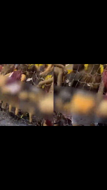 Alunos de medicina da Unisa negam “punhetaço”: ‘Estão mostrando a bunda? Vamos mostrar o pau’