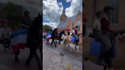 Horse breeders also support the Dutch farmers' protest