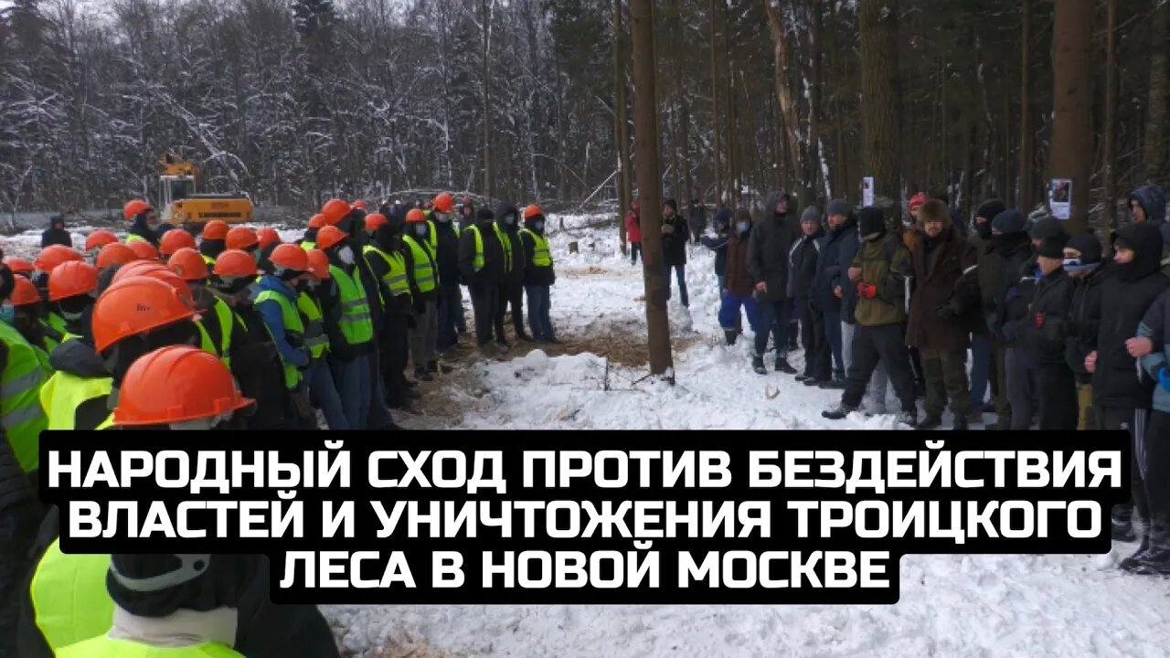 Народный сход против бездействия властей и уничтожения Троицкого леса в Новой Москве / LIVE 05.02.22