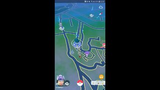 Live de Pokémon GO - GO Fest 2022