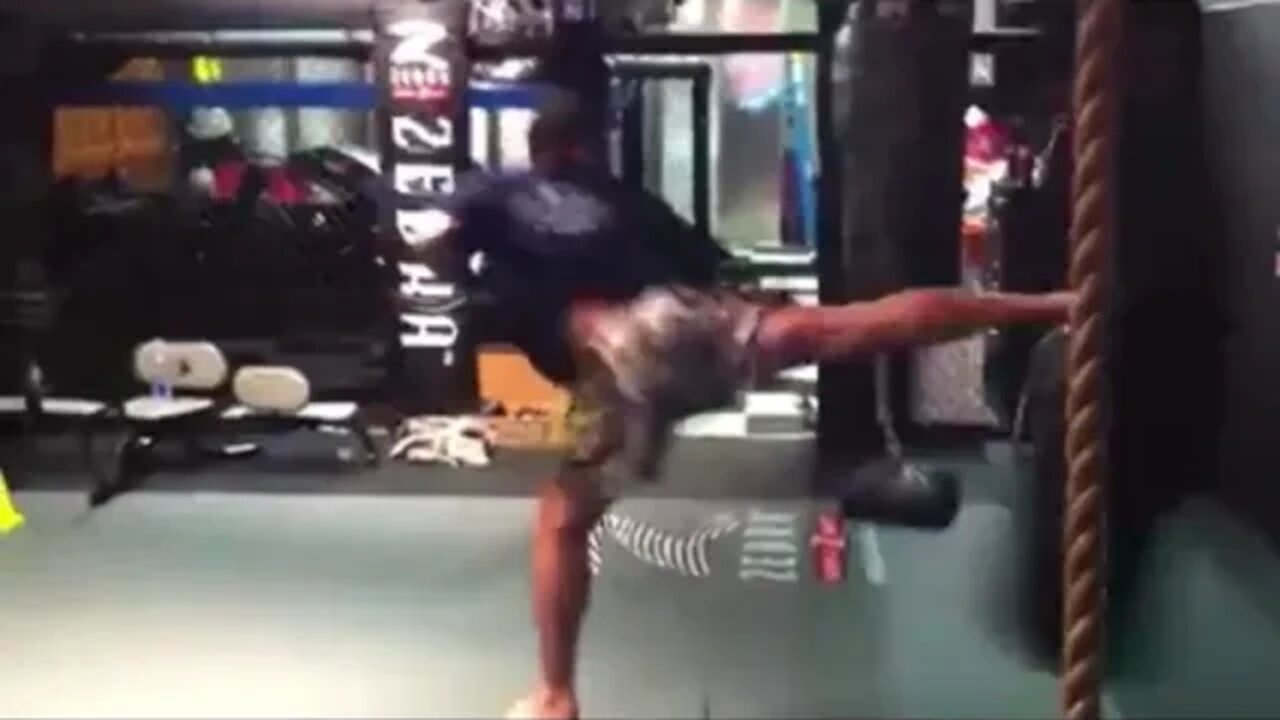 Joe Rogan Turning Side Kick