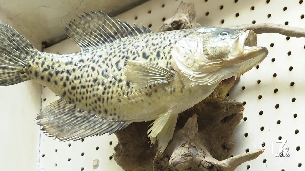 Toxins found in fish in Lake Erie, highest in the country