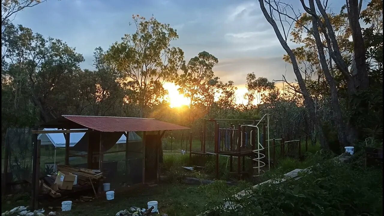 Sunset, with some ducklings getting ready for bed