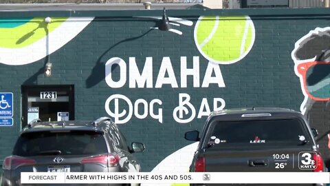 Omaha Dog Bar welcomed pups & owners for drinks and treats