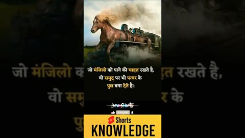 Motivational Quotes Intresting Facts lifestyle #ytshorts #motivation #shorts #knowledge #facts#reels