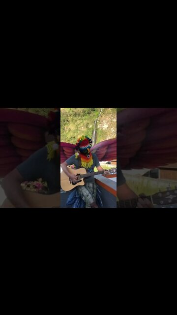 Ayahuasca Spirit (DMT Entity) Caught on Camera Singing Stella Blue by the Grateful Dead