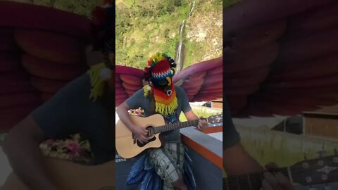 Ayahuasca Spirit (DMT Entity) Caught on Camera Singing Stella Blue by the Grateful Dead