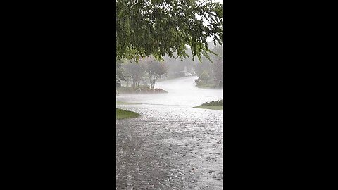 Beautiful Rain Scene | Awesome Weather