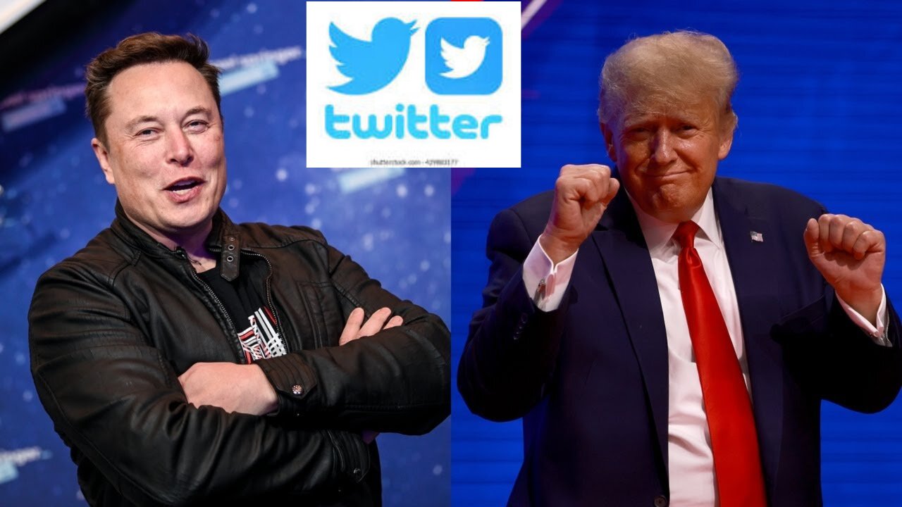 Elon Musk remarks on Donald Trump getting back to Twitter