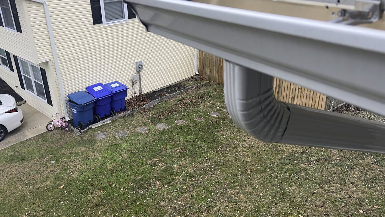 Crazy squirrel damage roof