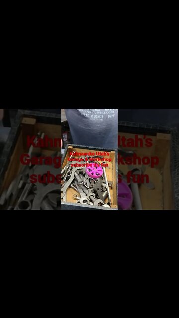 Definitely Not - #shorts