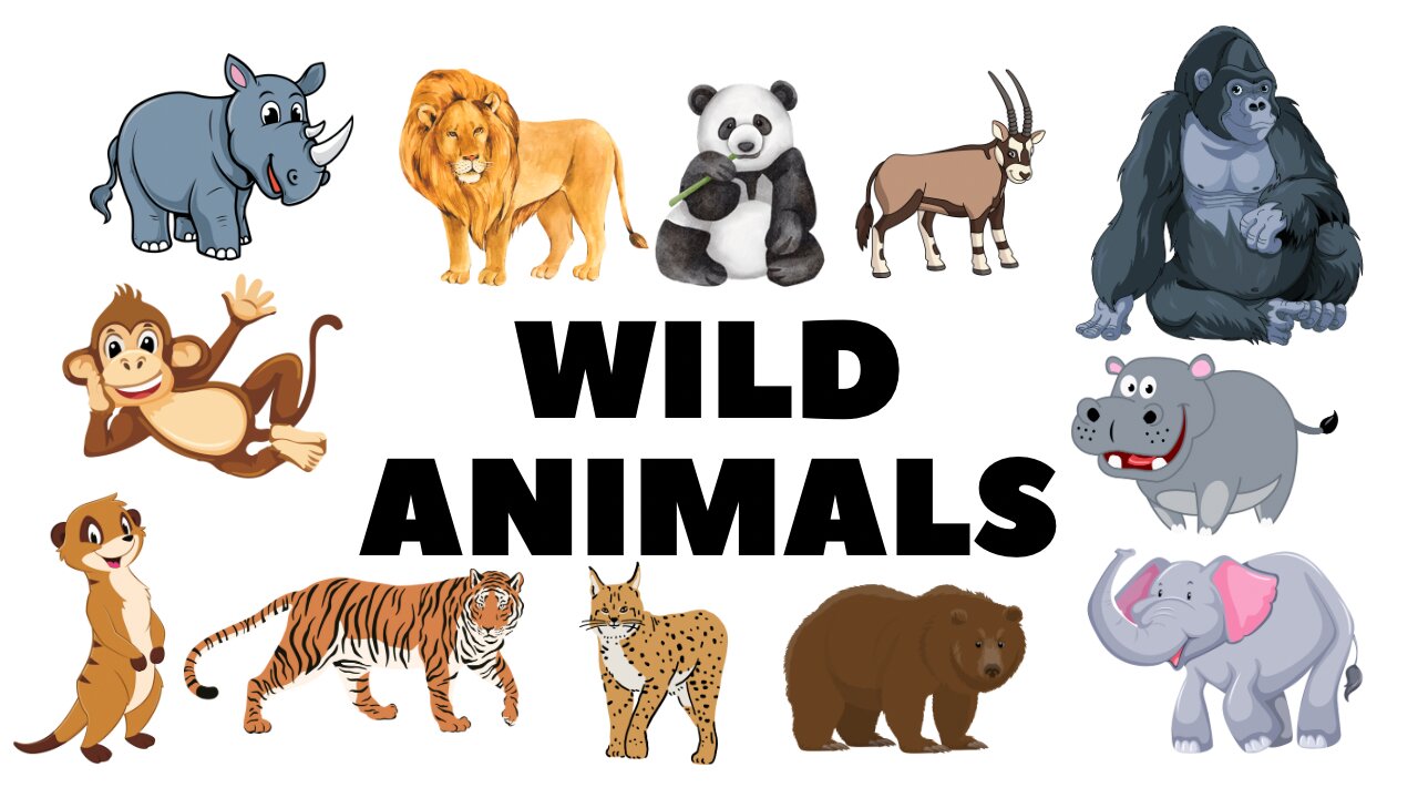 Names of wild Animals!