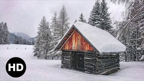 Snow | Winter | Nature | Relaxing | Free HD Videos - No Copyright footage